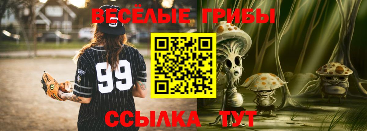 Псилоцибиновые грибы Psilocybine cubensis  где купить   Елабуга  Вход с VPN 
